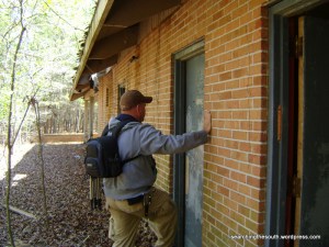 Remeber the buzzards? I think I found their winter home and they haven't changed places yet.