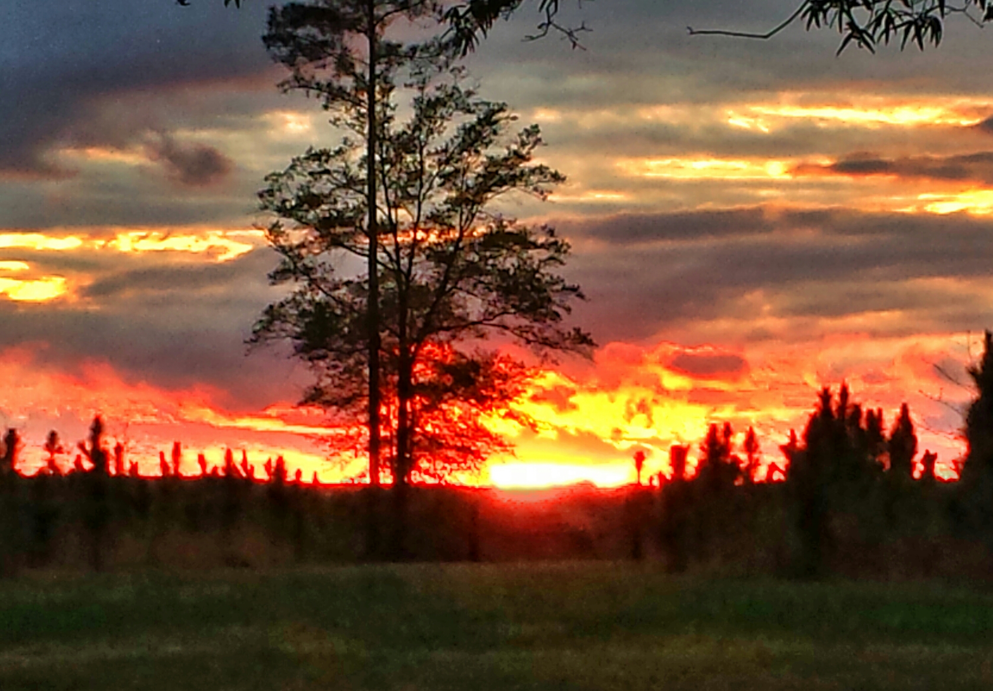 20140415_195503_1.jpg image